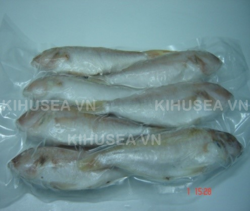 FROZEN  THREADFIN  BREAM  WHOLE CLEANED